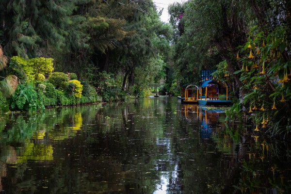 Xochimilco Scene