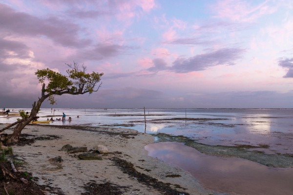 Atmospheric Transience: Pink Mayan Horizons