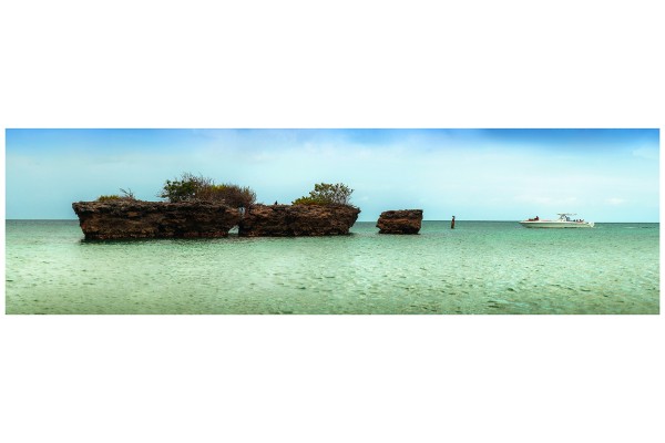 Coralines & Birds